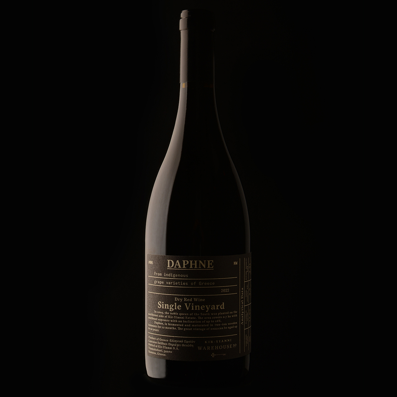 DAPHNE 2022 B 1300x1300 copy